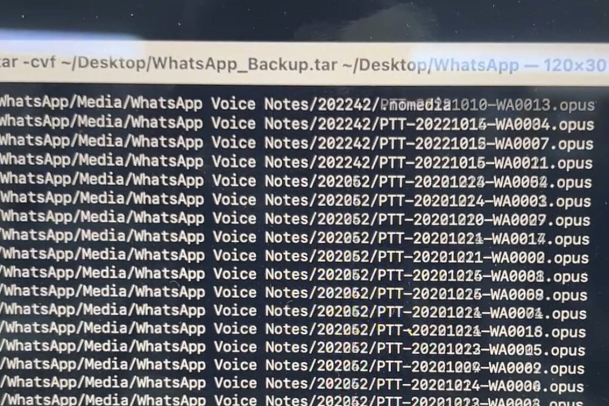 Backup profesional desde terminal: por qué no copiamos y pegamos (caso real)