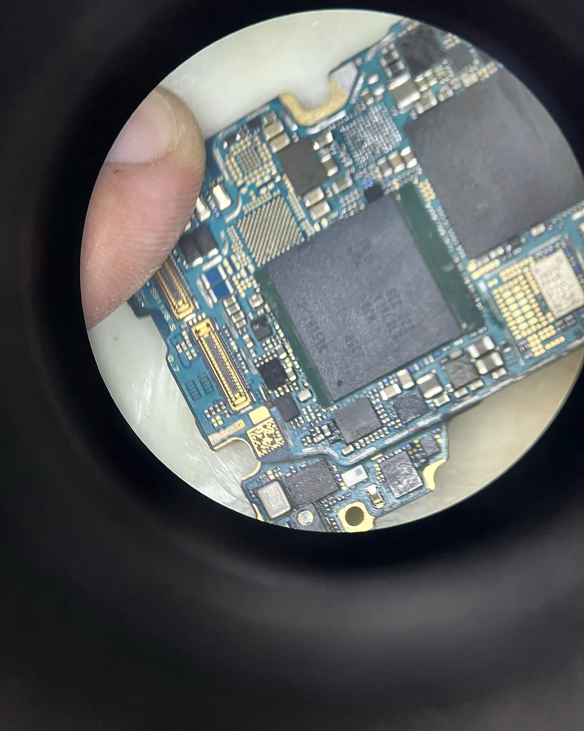Placa de móvil al microscopio